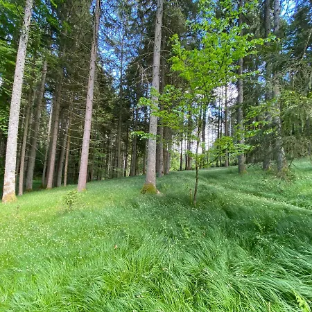 Plattenstein * Kirchberg (Bavaria)